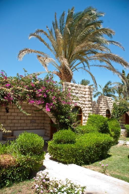 Jasmine Village Hurghada Esterno foto